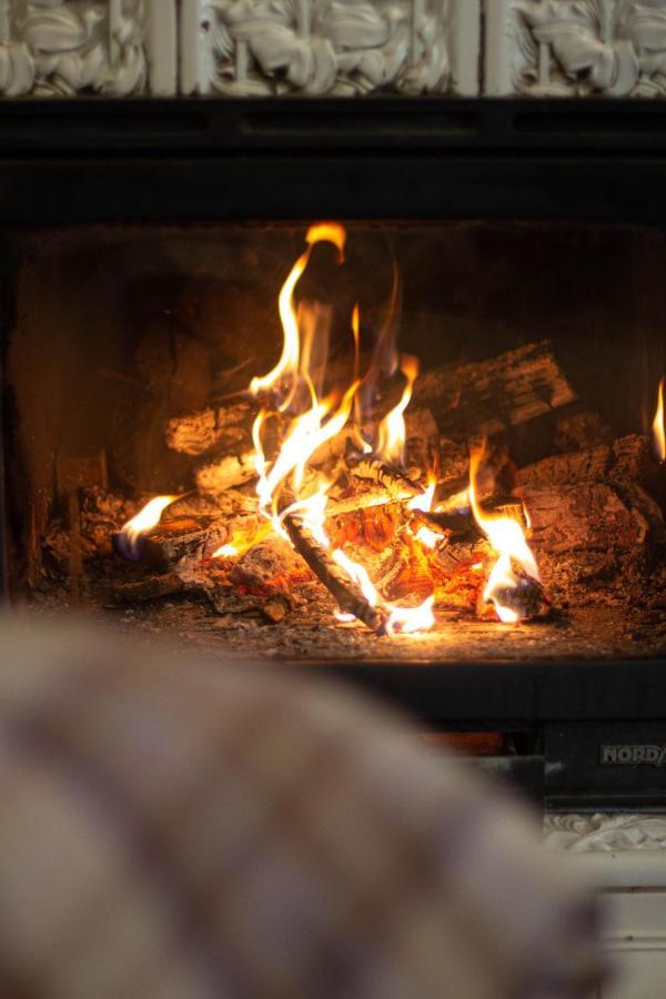 Flat In Cottage Close To The Centre Parking, Wifi, Bbq Lviv Dış mekan fotoğraf